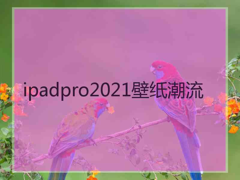 ipadpro2021壁纸潮流