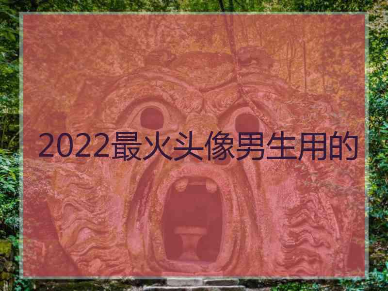 2022最火头像男生用的