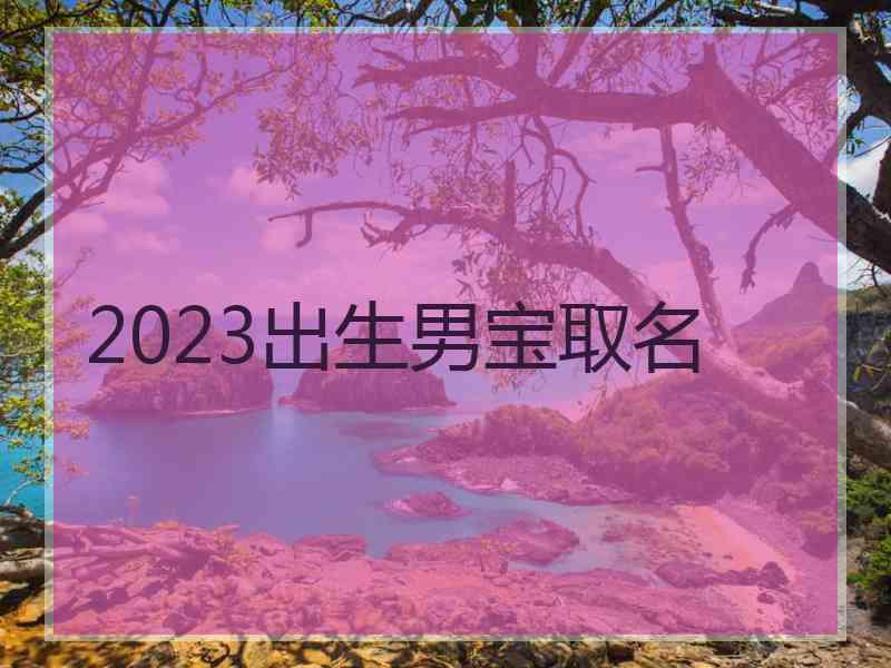 2023出生男宝取名