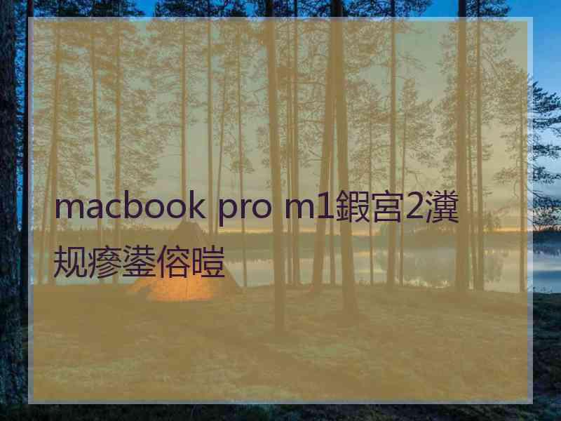 macbook pro m1鍜宮2瀵规瘮鍙傛暟