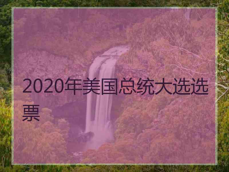 2020年美国总统大选选票