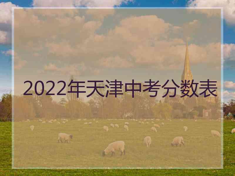 2022年天津中考分数表