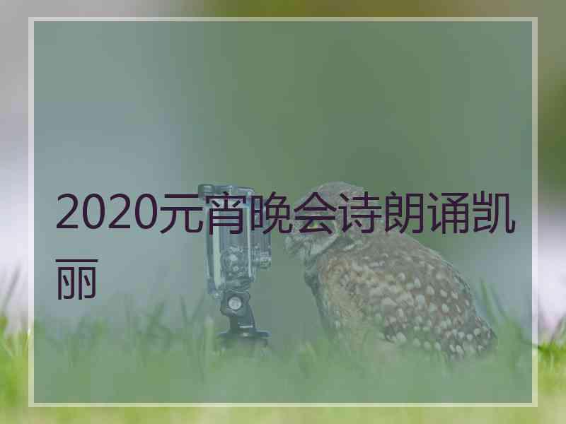 2020元宵晚会诗朗诵凯丽