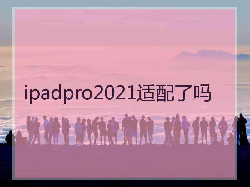 ipadpro2021适配了吗