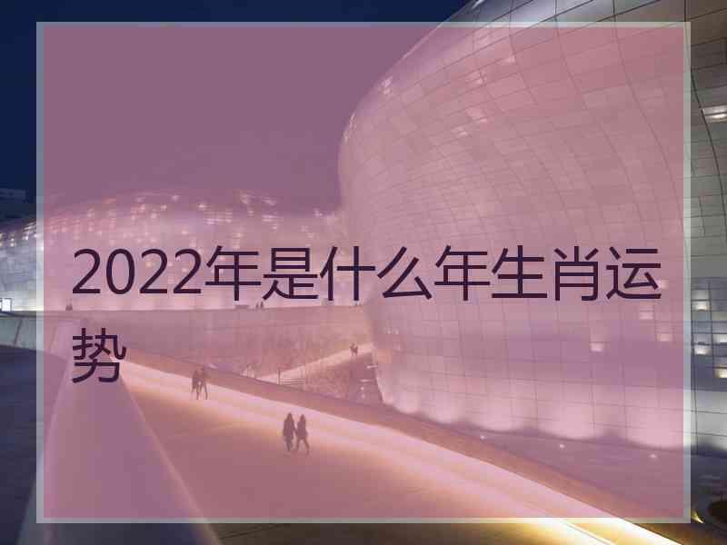 2022年是什么年生肖运势