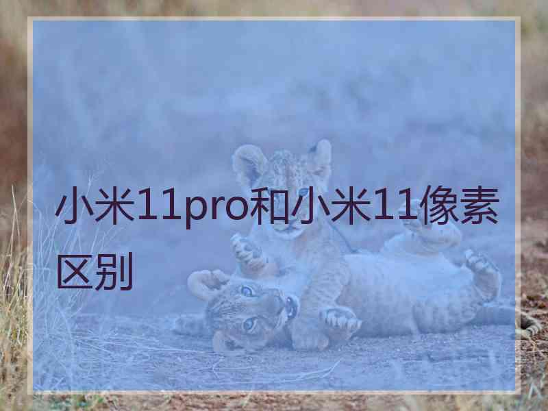 小米11pro和小米11像素区别