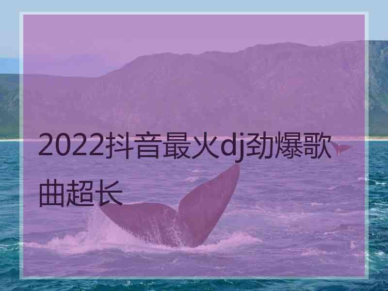 2022抖音最火dj劲爆歌曲超长