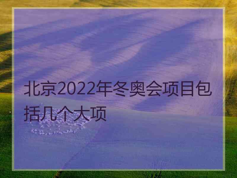 北京2022年冬奥会项目包括几个大项