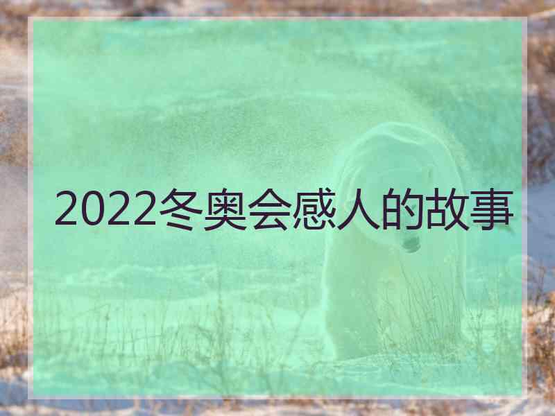 2022冬奥会感人的故事