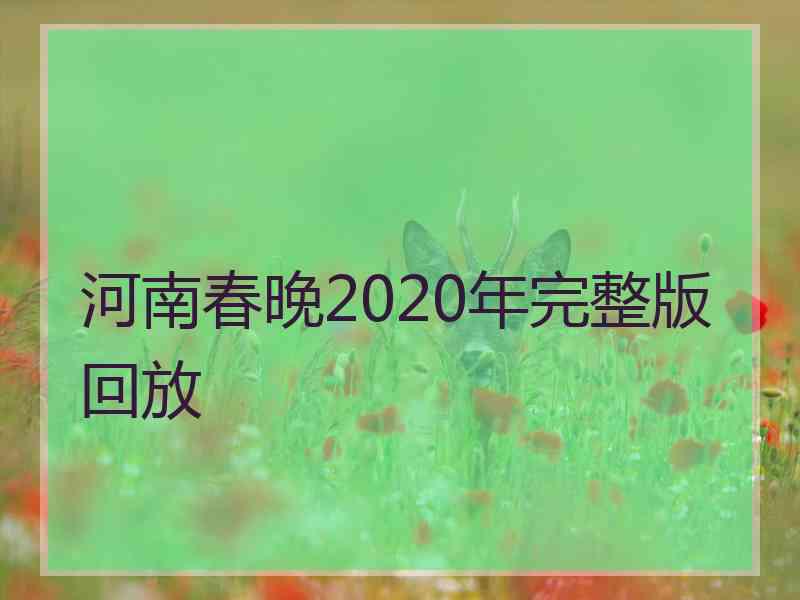 河南春晚2020年完整版回放