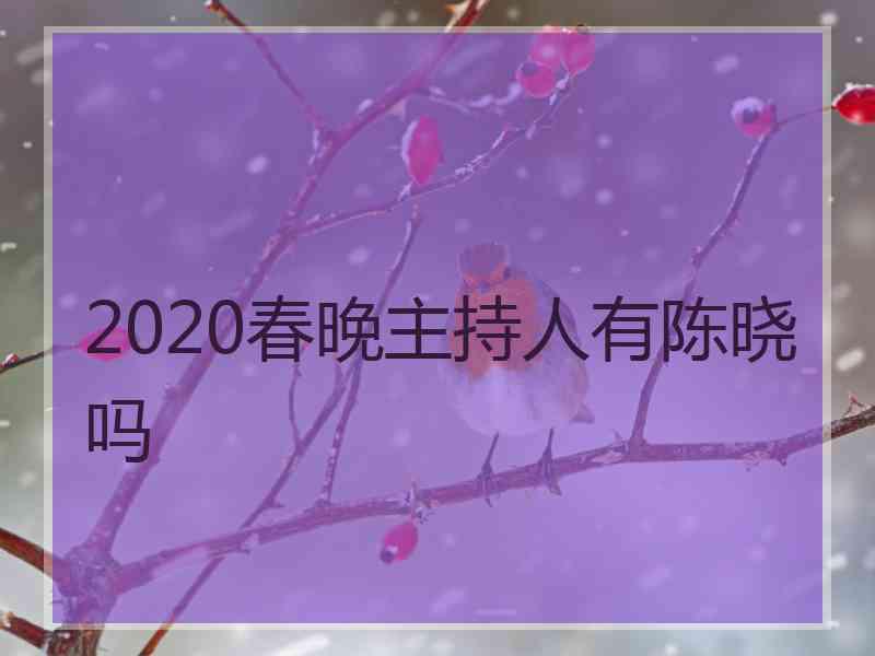 2020春晚主持人有陈晓吗