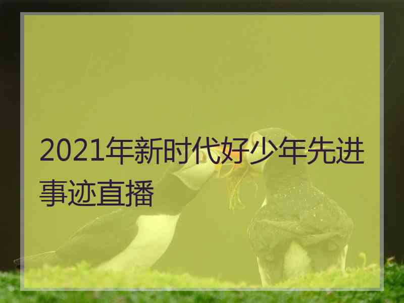 2021年新时代好少年先进事迹直播