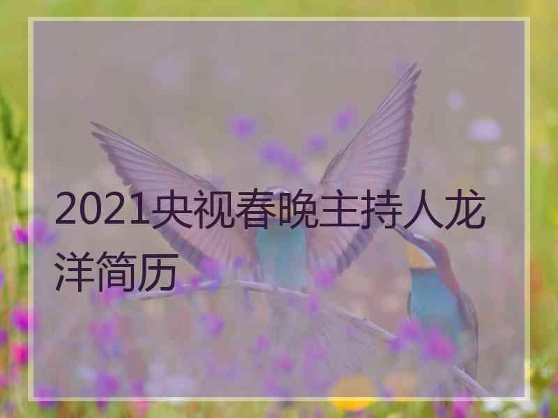 2021央视春晚主持人龙洋简历