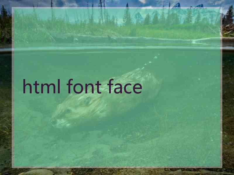 html font face