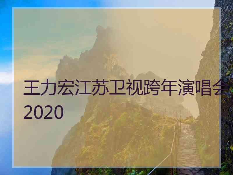 王力宏江苏卫视跨年演唱会2020