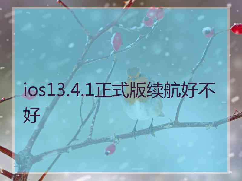 ios13.4.1正式版续航好不好