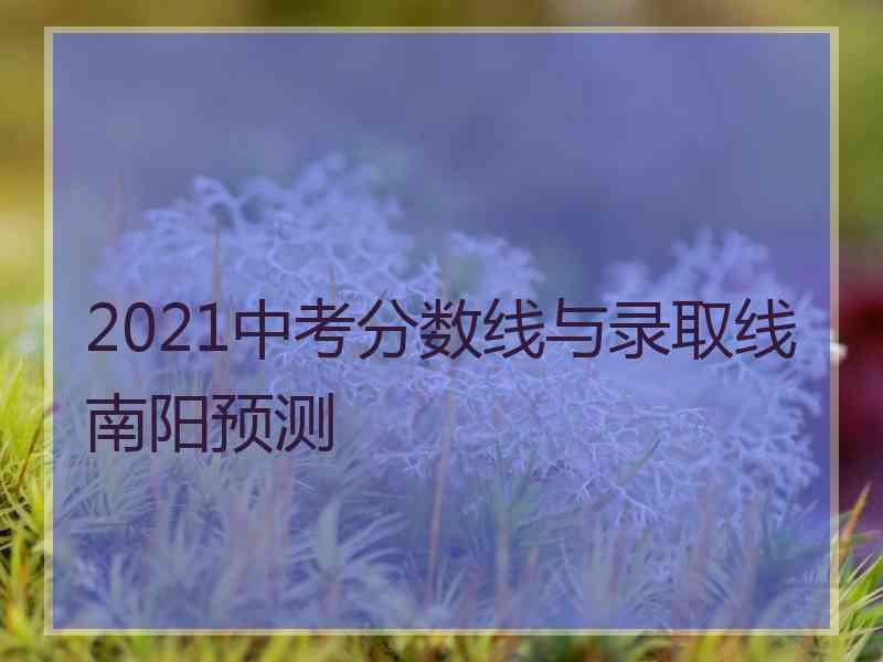 2021中考分数线与录取线南阳预测