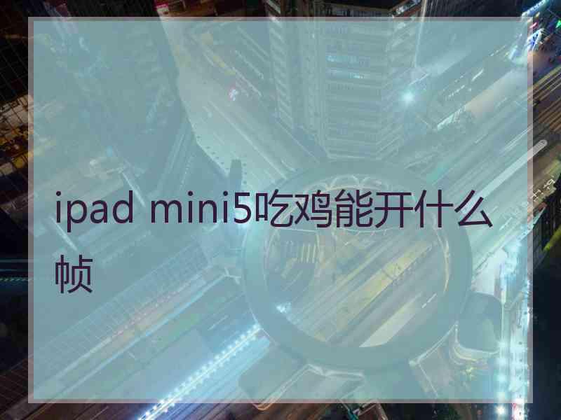 ipad mini5吃鸡能开什么帧