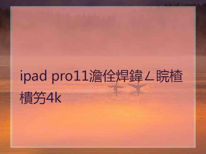 ipad pro11澹佺焊鍏ㄥ睆楂樻竻4k