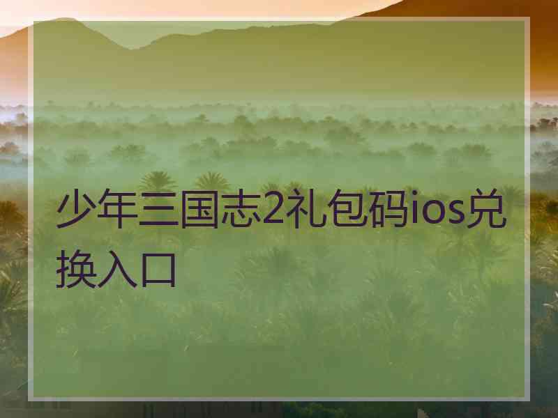 少年三国志2礼包码ios兑换入口