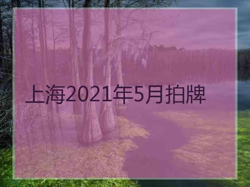 上海2021年5月拍牌