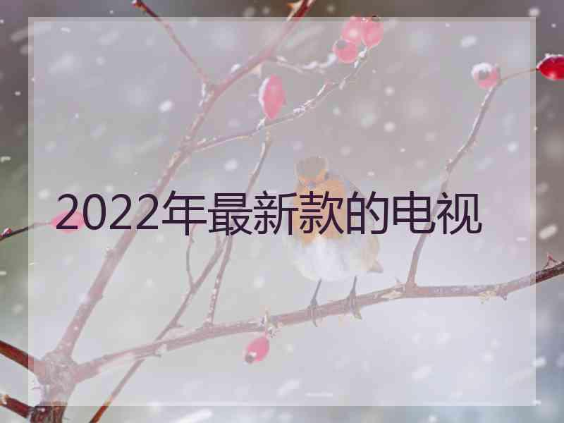 2022年最新款的电视