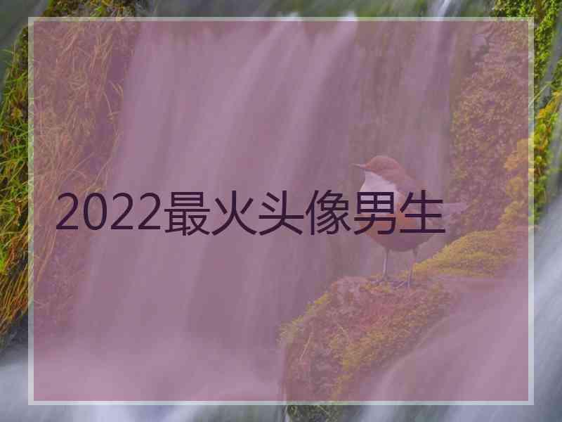 2022最火头像男生