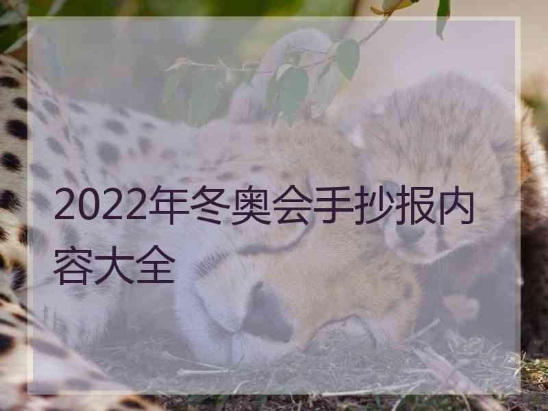 2022年冬奥会手抄报内容大全