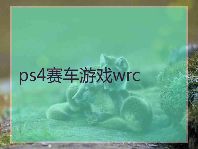 ps4赛车游戏wrc