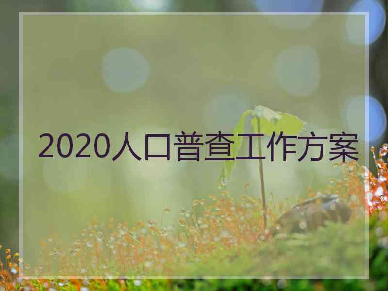 2020人口普查工作方案