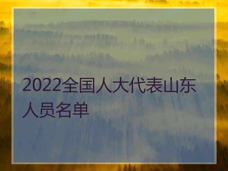 2022全国人大代表山东人员名单