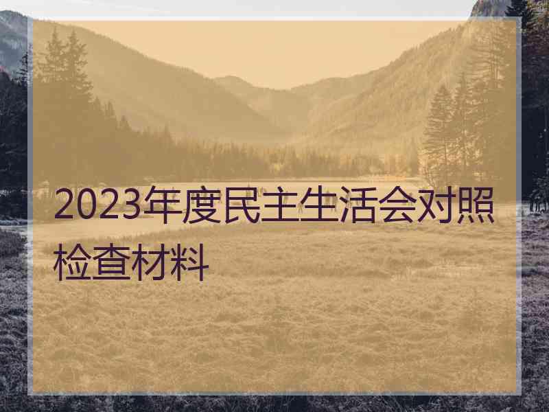 2023年度民主生活会对照检查材料