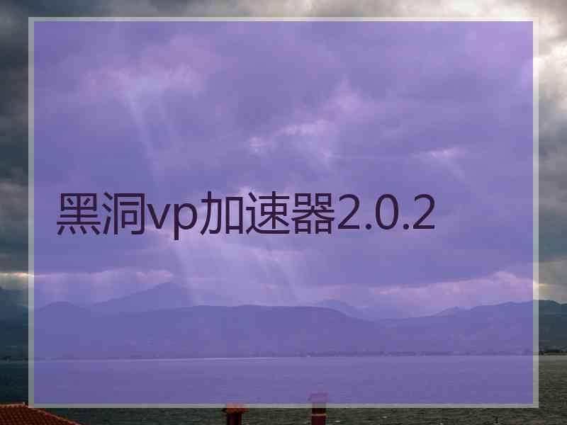 黑洞vp加速器2.0.2