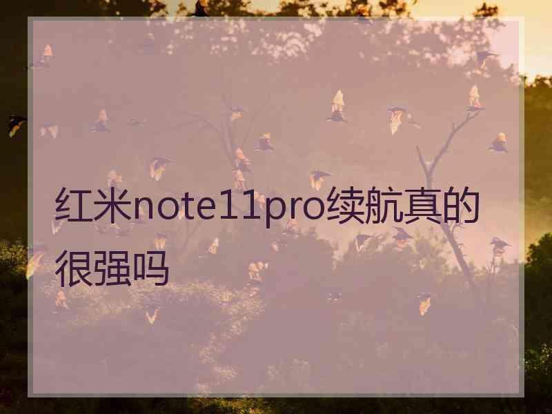 红米note11pro续航真的很强吗