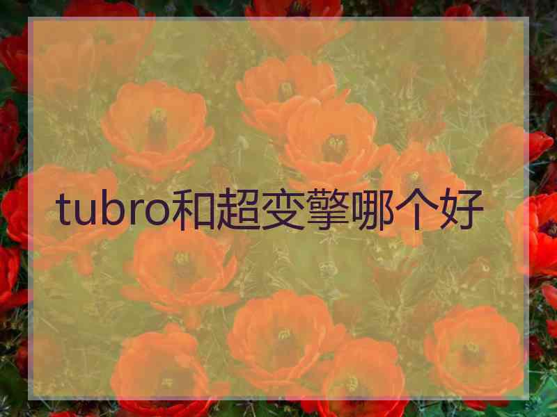 tubro和超变擎哪个好