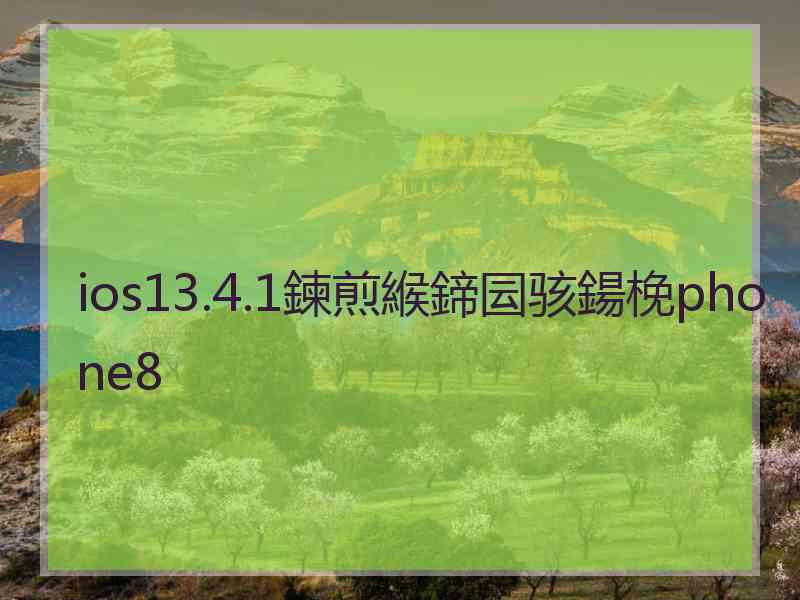 ios13.4.1鍊煎緱鍗囩骇鍚梚phone8