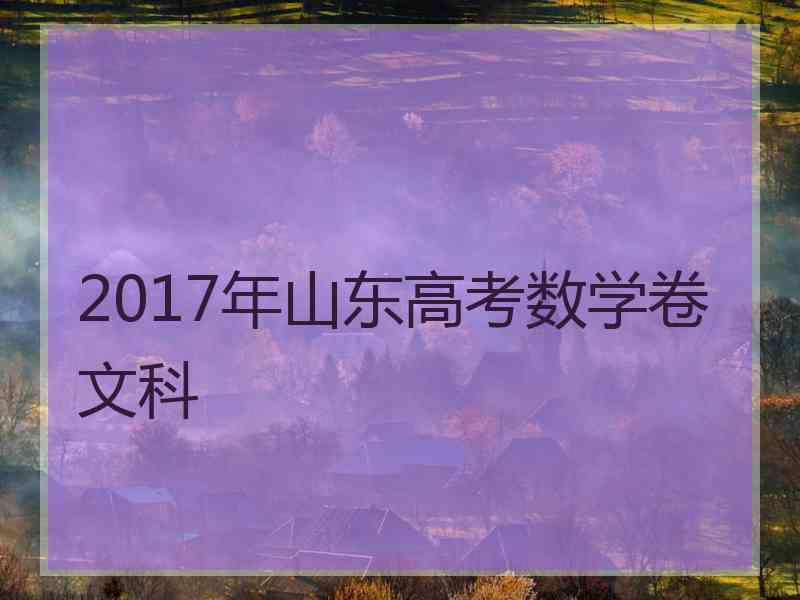 2017年山东高考数学卷文科