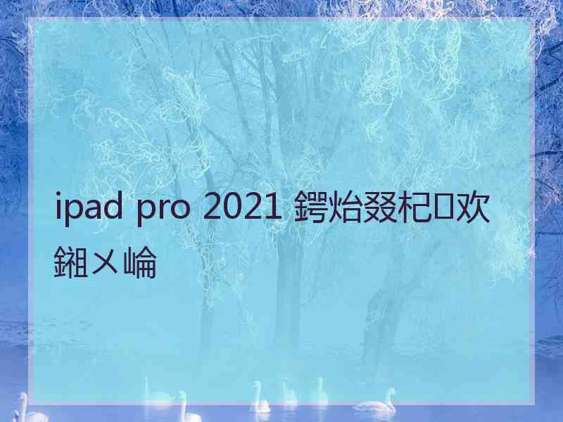 ipad pro 2021 鍔炲叕杞欢鎺ㄨ崘