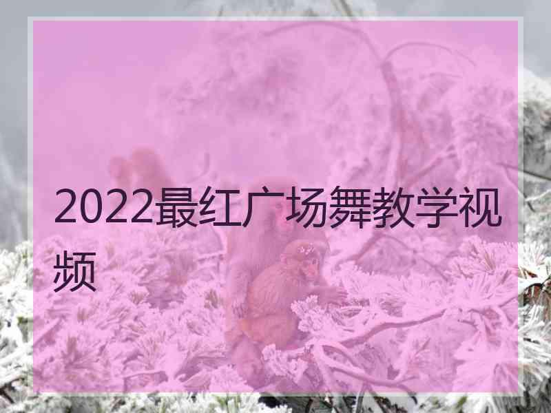 2022最红广场舞教学视频