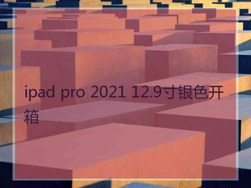 ipad pro 2021 12.9寸银色开箱