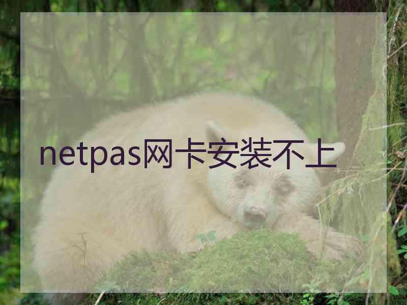 netpas网卡安装不上