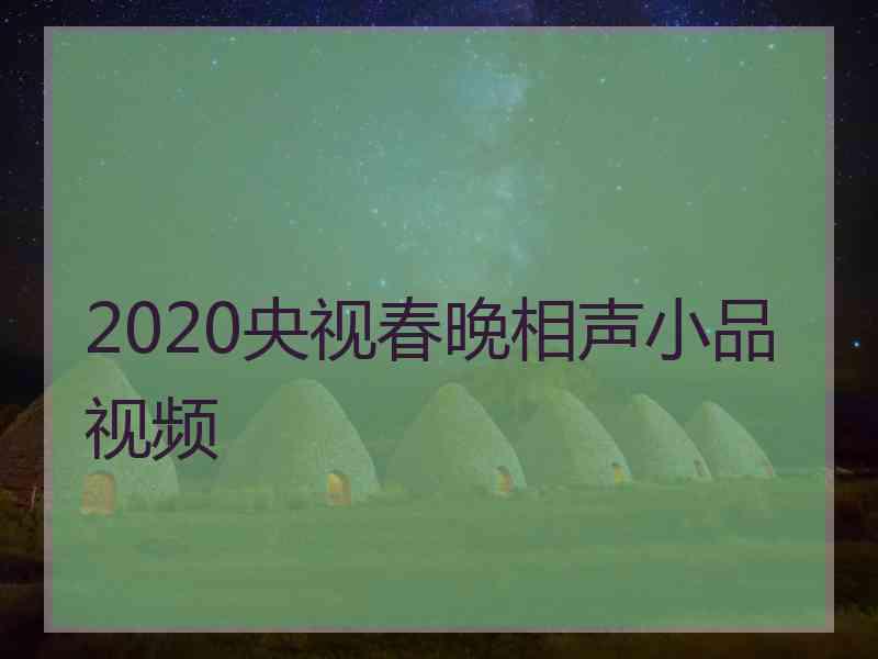 2020央视春晚相声小品视频