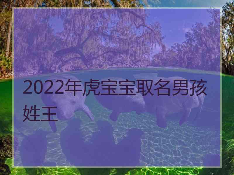 2022年虎宝宝取名男孩姓王