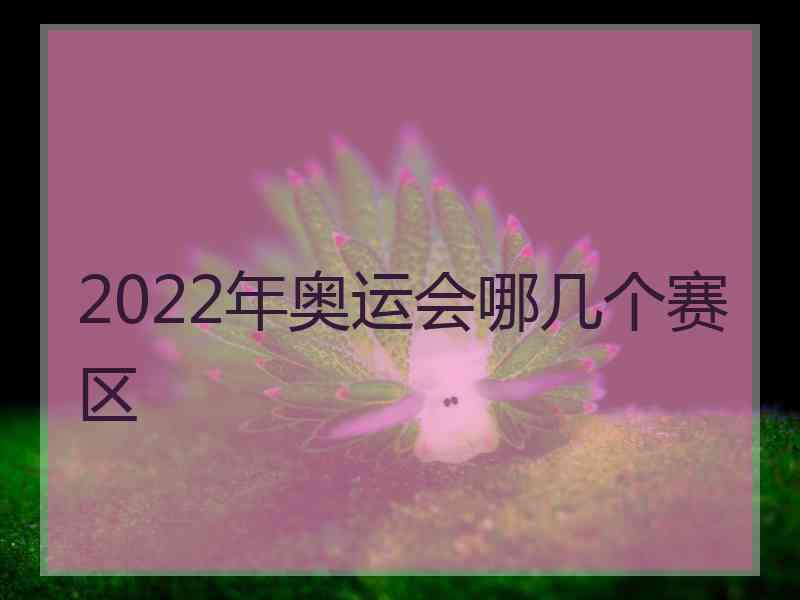 2022年奥运会哪几个赛区