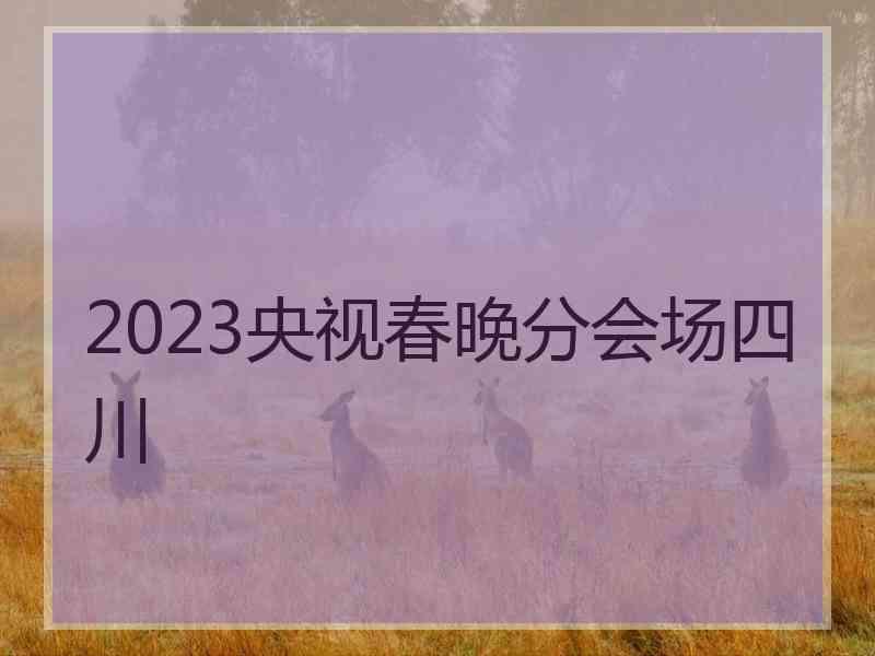 2023央视春晚分会场四川