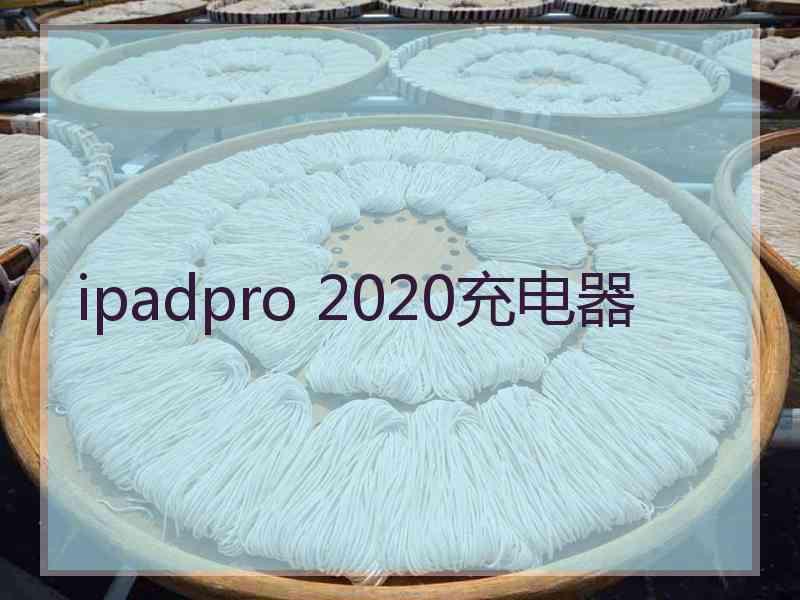 ipadpro 2020充电器