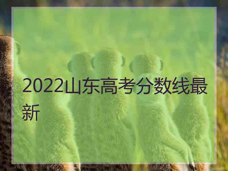 2022山东高考分数线最新