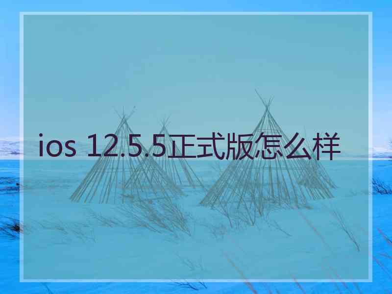 ios 12.5.5正式版怎么样