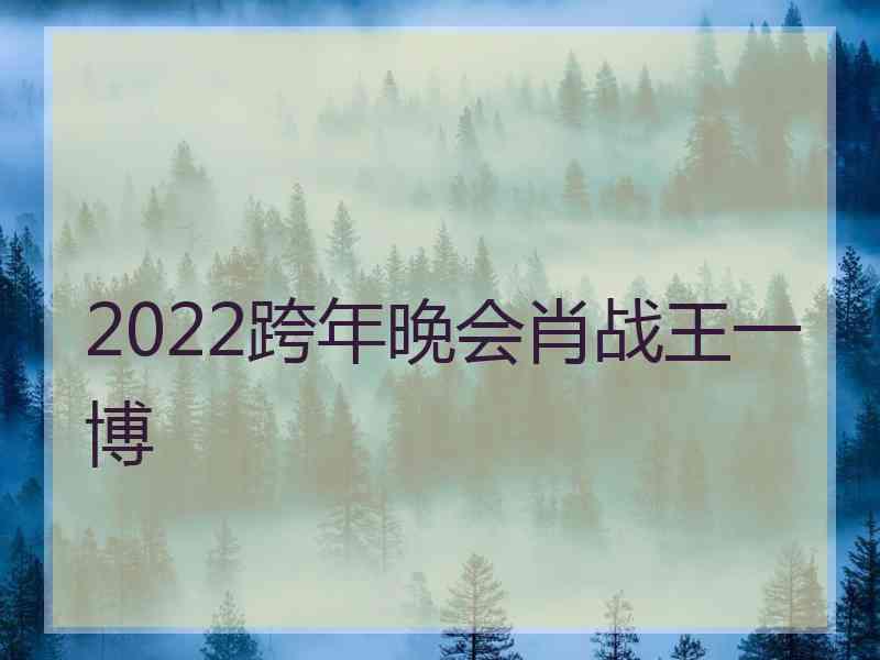 2022跨年晚会肖战王一博