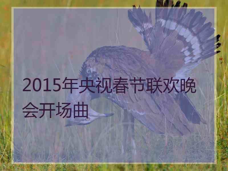 2015年央视春节联欢晚会开场曲